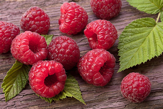 Wild Raspberry